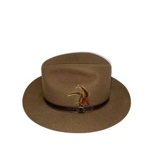 Park Royal Timely Fashion Hat 100% Wool Brown